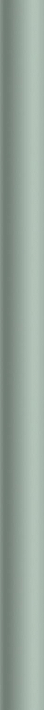 Керамическая плитка Meissen Бордюр Trendy карандаш зеленый 1,6х25